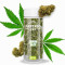 Flor CBD Lemon Haze 15g Greeneo