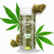 Flor CBD Lemon Haze 15g Greeneo