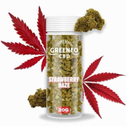 Flor CBD Strawberry Haze 20g Greeneo