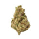 Flor CBD Amnésia 5gr. Hempline