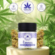 Flor CBD Amnésia 5gr. Hempline