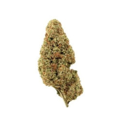 Flor CBD Lemon Haze 12gr. Hempline