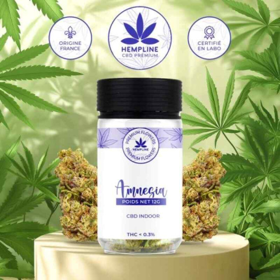 Flor CBD Amnésia 12gr. Hempline