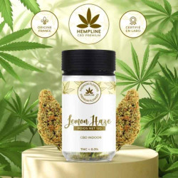 Flor CBD Lemon Haze 12gr. Hempline